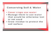 Conserving Soil & Water - Nebraska Extension Crop Use...Conserving Soil & Water • Cover crops use water • Manage them to use water that would be otherwise lost or not used •
