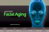PROCESS - Camelback Derm · 2012-09-19 · Midface Lower face Facial Mapping With aging, the balance, proportions and symmetry of the face change. ... Facial rejuvenation treatments
