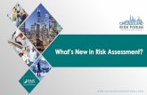 What’s New in Risk Assessment? · 2016-10-27 · 7 Strategic Risk Assessment Issues To be effective, Risk Assessment must be connected to business strategy. • Integrated in a