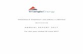 TRIANG L E ENERGY (GLOBAL) LIMITEDtriangleenergy.com.au/wp-content/uploads/2017/10/TEG-2017-AR.pdf · Perth Basin, Australia. His executive capacity at Triangle includes operational