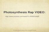 Photosynthesis Rap VIDEO - serc.sjsu.edu · Photosynthesis and Respiration in Plants . Photosynthesis: The process in which plants use CO. 2, sunlight, and H. 2. O to produce sugars