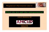 Regional Perinatal Care: What do we call the components? · care levels of hospitals Arizona Perinatal Regional System, Inc. “performing corporation of APT”; promulgates Recommendations