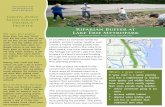 Riparian Buffer at Lake Erie Metropark€¦ · Metropark, the International Wild-life Refuge (of which Lake Erie Me-tropark is a part) secured funding through the Grow Zone Mini-Grant