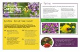 Spring Bee friendly Gardening - Yorkshire Dales Millennium Trust · 2020-04-14 · Crocuses (bulb) Hardy geranium, cranesbill (perennial) GROW Crocuses Dandelions Bee friendly Gardening