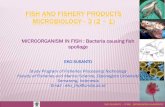 FISH AND FISHERY PRODUCTS MICROBIOLOGY 3 (2 1) 2013-07-12آ  FISH AND FISHERY PRODUCTS MICROBIOLOGYâ€“