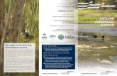 WETLAND WANDERINGS ECOTOUR · The Wetland Wanderings Ecotour is a self-guided tour showcasing a number of amazing wetlands, from coastal and freshwater wetlands to major waterways