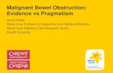 Malignant Bowel Obstruction: Evidence vs Pragmatism · In mechanical bowel obstruction: • ranitidine 150mg + dexamethasone 8mg + IV fluids + comfort PO fluids –if colic add HBB
