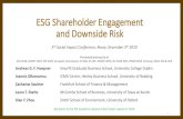 ESG Shareholder Engagement and Downside Risk · Andreas G. F. Hoepner Smurfit Graduate Business School, University College Dublin Ioannis Oikonomou ICMA Centre, Henley Business School,