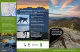 Mountains of the Dawn - Maine Mountain Collaborative · Mountains of the Dawn continue to sustain life for generations to come. “Maine’s Mountains of the Dawn region is a biodiversity