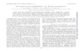 Fungal Susceptibility of Polyurethanes · Fungal Susceptibility of Polyurethanes RICHARD T. DARBYAND ARTHURM. KAPLAN Pionieering Research Laboratory, U.S. ArmyNatick Laboratories,