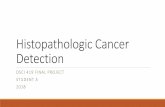 Histopathologic Cancer Detection - Maryville University...Project Overview Method Issues with Deep Network Residual Neural Network (ResNet) Densely Connected Neural Network (DenseNet)
