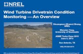 Wind Turbine Drivetrain Condition Monitoring An Accurate damage evaluation to enable cost-effective