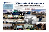 The Gemini Report - Twin Stars Ltd.twinstars.com/tsltdwp2012/wp-content/uploads/Jan2017newsletter.pdfWalk confidently and be aware of your surroundings, avoid using your phone while