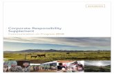 Corporate Responsibility Supplement€¦ · Corporate Responsibility Report, this supplement provides an update of our environmental, social and governance performance over the past