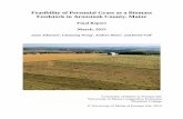 Feasibility of Perennial Grass as a Biomass Feedstock in ... · Since 2010, a research collaboration centered at the University of Maine at Presque Isle has been evaluating the feasibility