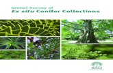 Global Survey of Ex situ Conifer Collections€¦ · PlantSearch database of ex situ collections, and the IUCN Red List assessments to analyse current ex situ conservation efforts