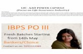 LIC- AAO POWER CAPSULE (Focus on Life Insurance Industry) · 2013-05-09 · LIC- AAO POWER CAPSULE (Focus on Life Insurance Industry) Dear Students, First of all BankersChoice hopes