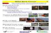 Wild Bird Cover 2 - Teagasc … · Vegetative Flowering Seeding Wild Bird Cover 2 Oats & Linseed sown each year Recommended Grow in all soil types (including heavy, acid) Tolerates