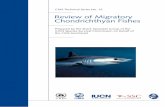 Review of Migratory Chondrichthyan Fishes · The IUCN Shark Specialist Group (SSG) Secretariat, in consultation with the SSG’s volunteer network, developed a migratory chondrichthyan