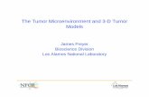 The Tumor Microenvironment and 3-D Tumor Modelsq-bio.org/w/images/6/62/Freyer.pdfNew In Vitro Model of Tumor Microenvironment medium input medium output top cap medium membrane reservoir