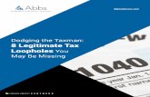 Dodging the Taxman: 8 Legitimate Tax Loopholes You May Be ...€¦ · 3. Second Home Mortgage Interest Deduction. You may be able to deduct the mortgage interest on a mortgage up
