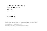 End of Primary Benchmark 2015 Report · FEBRUARY 2016 . End of Primary Benchmark June 2015 – Report i ... End of Primary Benchmark June 2015 – Report iii List of Appendices Appendix