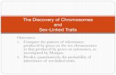 The Discovery of Chromosomes and Sex-Linked Traitsmrsfriede.weebly.com/.../7/1/0/37107405/sexlinkedtraits.pdfThe Discovery of Chromosomes and Sex-Linked Traits Outcomes: 1. Compare