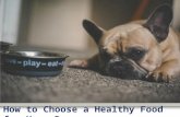 How to Choose a Healthy Food for Your Dog