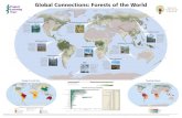 Global Connections: Forests of the World · 2016-08-29 · Global Connections: Forests of the World Forest by Domain Approximate Scale 1 : 110,000,000 Tropical Subtropical Temperate