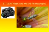 8. IT 1210 FLash and Macro Nikon D3200€¦ · 08/08/2018  · Essentially in macro mode, or when using a macro lens the image is photographed at a 1:1 ratio. When the image is blown-up