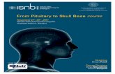 From Pituitary to Skull Base course · 2020-06-19 · From Pituitary to Skull Base course November 27 th, 30 , 2017 Istituto delle Scienze Neurologiche Ospedale Bellaria, Bologna