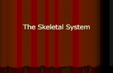 The Sketelal System - Weeblyfatimaphysed.weebly.com/.../8/7/0/38708281/the_sketelal_system_-_… · The R.I.C.E. method R-Rest the affected joint.Do not move the affected joint around