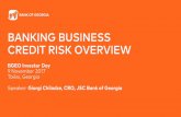 BANKING BUSINESS CREDIT RISK OVERVIEWbgeo.com/uploads/presentations/bgeo-investor-day-2017... · 2017-11-13 · LOAN PORTFOLIO DYNAMICS NET BANKING BUSINESS LOAN PORTFOLIO * Other
