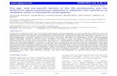 The age and sex specific decline of the 20s proteasome and ......age [30], and deletion of the 19S caps is not lethal [31]. Taken together, these findings indicate the need to reassess