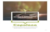 BECOME A SUCCESSFUL CROWDFUNDER · CROWDFUNDER CROWDFUNDING PLATFORM FOR NON-PROFIT ORGANIZATIONS . pg. 2 Welcome to Copalana! We are happy to welcome you as a Champion to our crowdfunding