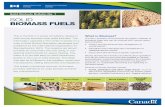 SLI BIOSS FUELS · 2016-09-29 · M153-1/1E-PDF 1 Natural Resources Canada – SOLID BIOFUELS BULLETIN SERIES NO. 1 978-0-660-05074-4 Solid Biofuels Bulletin No. 1 SLI BIOSS FUELS