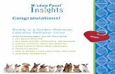 Congratulations!positive-works.com/dna/pdfs/designer.pdf · Buddy is a Golden Retriever, Labrador Retriever Cross In the following pages, you will learn about: • KEY BREEDS DETECTED