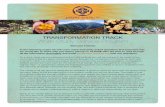 TRANSFORMATION TRACK Work-Study Service …paititi-institute.org/wp-content/uploads/2015/10/...Involvement in Retreat Practices All participants will receive an initiation, which includes