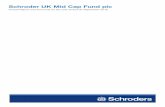 Schroder UK Mid Cap Fundplc - London Stock Exchange...2016/12/20  · dividend of 8.50 pence per share for the year ended 30 September 2016, which, together with the interim dividend