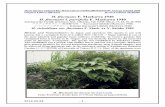 H. fluctuans F. Maekawa 1940 H. fluctuans f ... - Hosta · flowers, densely clustered. Flowers 5–6 cm long, 3.5 cm broad (2–2.50 by 1.50 in.), whitish, ... Wild Flowers of Japan.