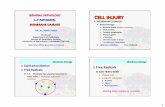 GENERAL PATHOLOGY CELL INJURY - Geocities.ws CELL-INJURY.pdf · GENERAL PATHOLOGY MEMBRANE DAMAGE DR. M. TARIQ JAVED Professor Department of Pathology, Faculty of Veterinary Science,