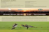 Great River Birding Trail - Tennesseetnwatchablewildlife.org/files/Birding-Final online version.pdf · Great River Birding Trail - Tennessee Birds of the Mississippi River Valley