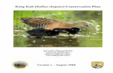 King Rail (Rallus elegans) Conservation Plan · 2015-11-19 · Plan Dedication. The King Rail Conservation Plan is dedicated in memory of Brooke Meanley (1915 – 2007), an outstanding