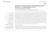 PtrA Is Functionally Intertwined with GacS in Regulating the … · 2017-08-27 · ORIGINAL RESEARCH published: 22 September 2016 doi: 10.3389/fmicb.2016.01512 Frontiers in Microbiology
