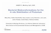 Bacterial Biotransformations for the Stabilization of ... · Shewanella oneidensis MR1 10 mM Lactate 5 x 108 Cells/mL Geobacter metallireducens GS15 10 mM Acetate 5 x 108 Cells/mL-0.001