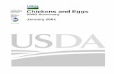 United States Chickens and Eggs - Cornell University · 2001-01-29 · January 2001. Chickens and Eggs 2000 Summary Agricultural Statistics Board January 2001 1 NASS, ... MI MN MS
