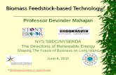 Biomass Feedstock-based Technology · anaerobic digestion technology for treatment of municipal solid waste. ** Strik, D.P.B.T.B. et al., 2006. A pH-based control of ammonia in biogas