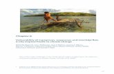 Vulnerability of mangroves, seagrasses and …horizon.documentation.ird.fr/.../divers13-07/010058147.pdf298 Contents Page 6.1 Introduction 299 6.2 The nature of mangroves, seagrasses