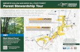 Forest Stewardship Tour - New York State Department of ...Forest Stewardship Tour . 86 226 415 54 . COUNTY . 16 . COUNTY . 16 . COUNTY . 87 . COUNTY . 96 . Utegg/Irish Hill Rd. O’Brien