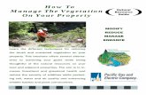 Veg Brochure 7-7-06 · property. This brochure offers several alterna-tives to achieving your goals while being thoughtful of the natural resources on your land and adjacent properties.